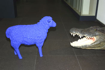 Das Bild zeigt Schaf und Krokodil im Stadtmuseum Siegburg.