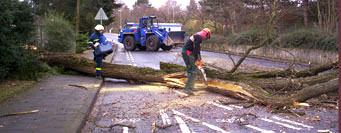 Das Foto zeigt einen umgestürzten Baumstamm auf der Straße, der von 2 Männern von THW und Feuerwehr zersägt wird, im Hintergrund THW-Fahrzeug