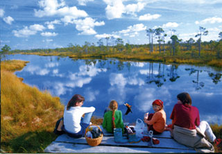 Das Foto zeigt 4 junge Leute an einem See
