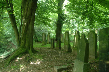 Das Foto zeigt den jüdischen Friedhof, auf Bäume und alte Grabsteine zu sehen sind.
