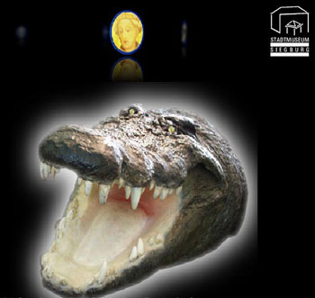 Das Foto zeigt einen  versteinerten Krokodilskopf