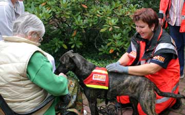 Rettunghund Saida bekommt ihre verdinete Belohnung nach einer Suche quer durch ein Siegburger Seniorenheim