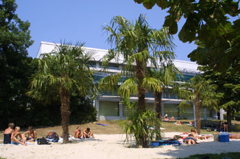 Das Bild zeigt die Palmen im Freibadbereich des Oktopusbades