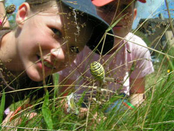 Kinder erkunden den Lebensraum Wiese