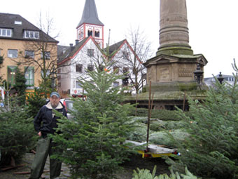 Das Bild zeigt den Weihnachtsbaum Stand 